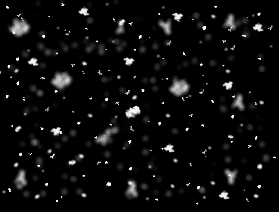 Snow winter