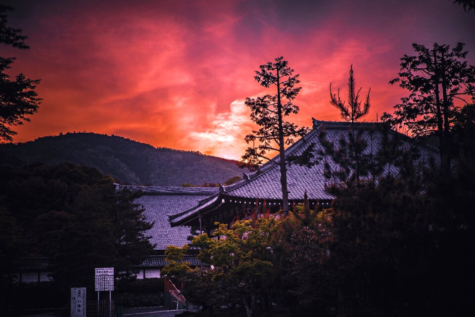 Tenryu ji sunset