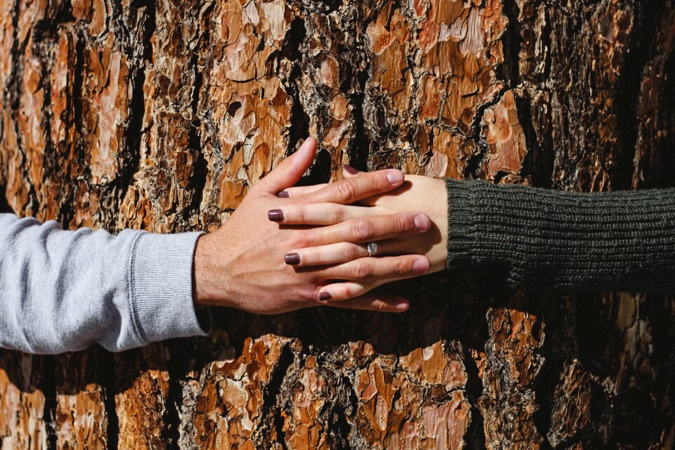 Tree hands couple