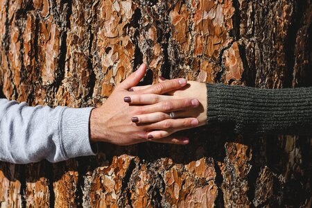 Tree hands couple