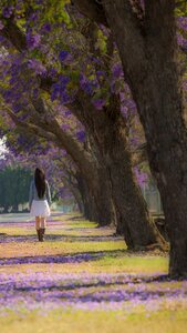 Trees flower girl