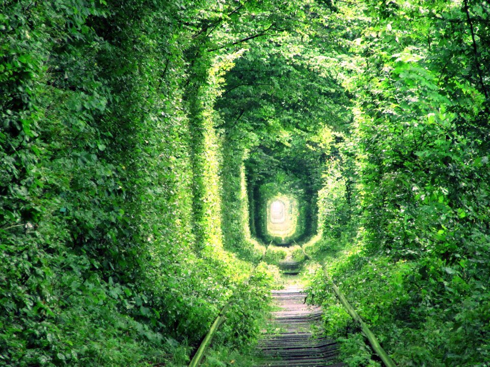 Tunnel of love klevan