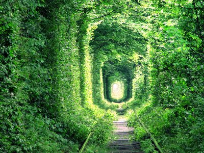 Tunnel of love klevan