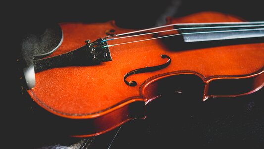 Violin musical instrument photo