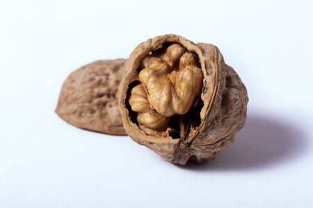 Walnut food
