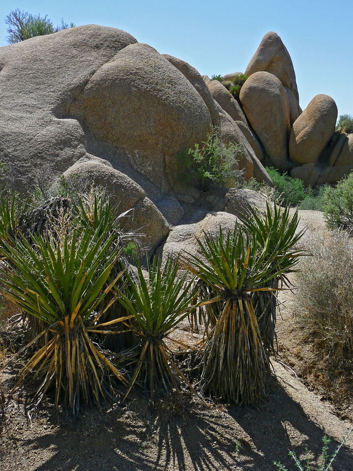 Park erosion nature
