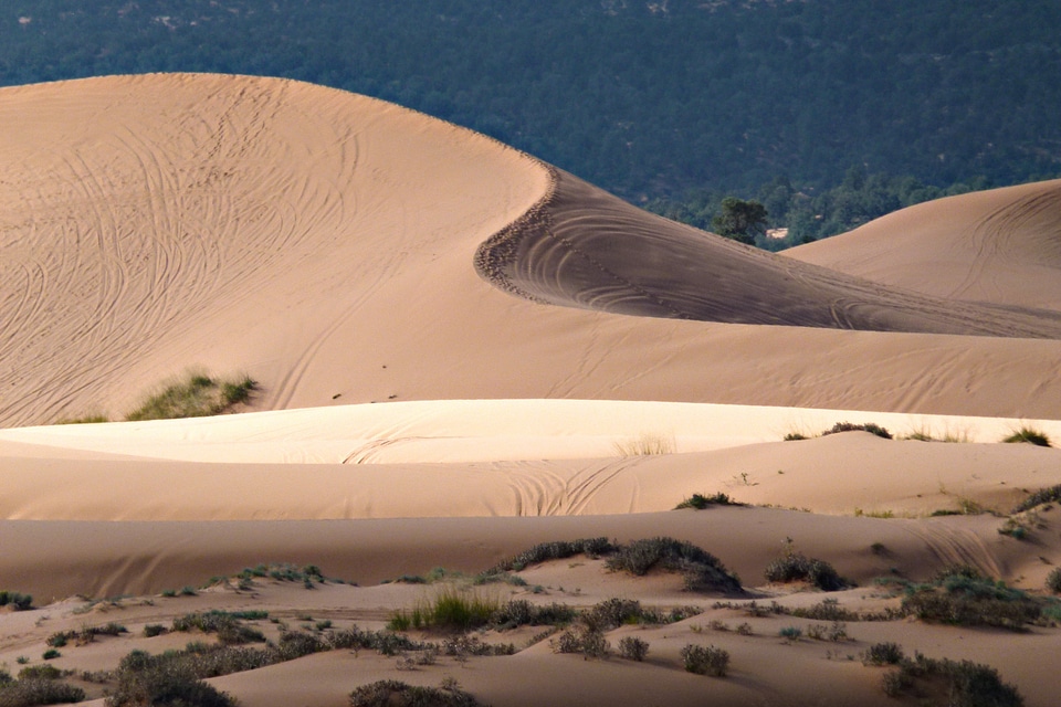 Sand desert dry photo