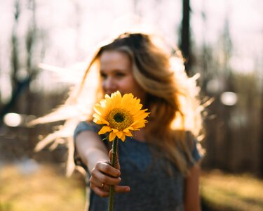 Woman girl sunflower photo