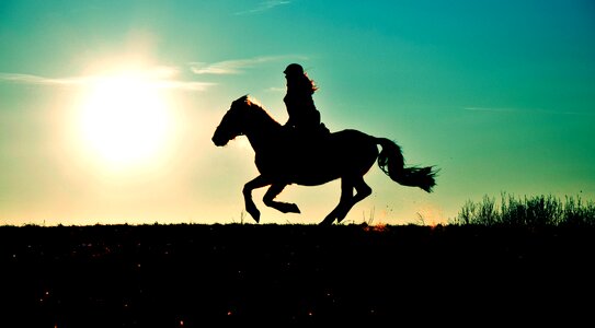 Woman horse silhouette