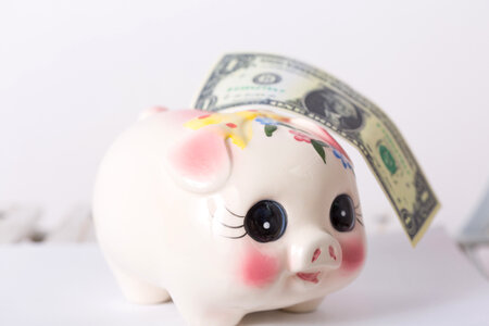 Piggy bank money
