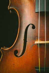 Violin musical instrument