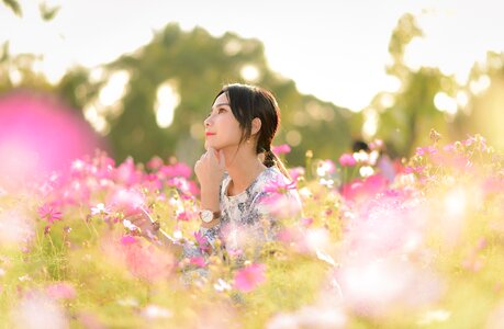 Woman girl cosmos field