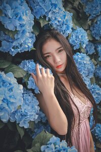 Woman girl portrait hydrangea