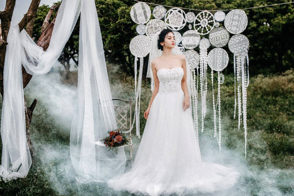 Bride wedding dress