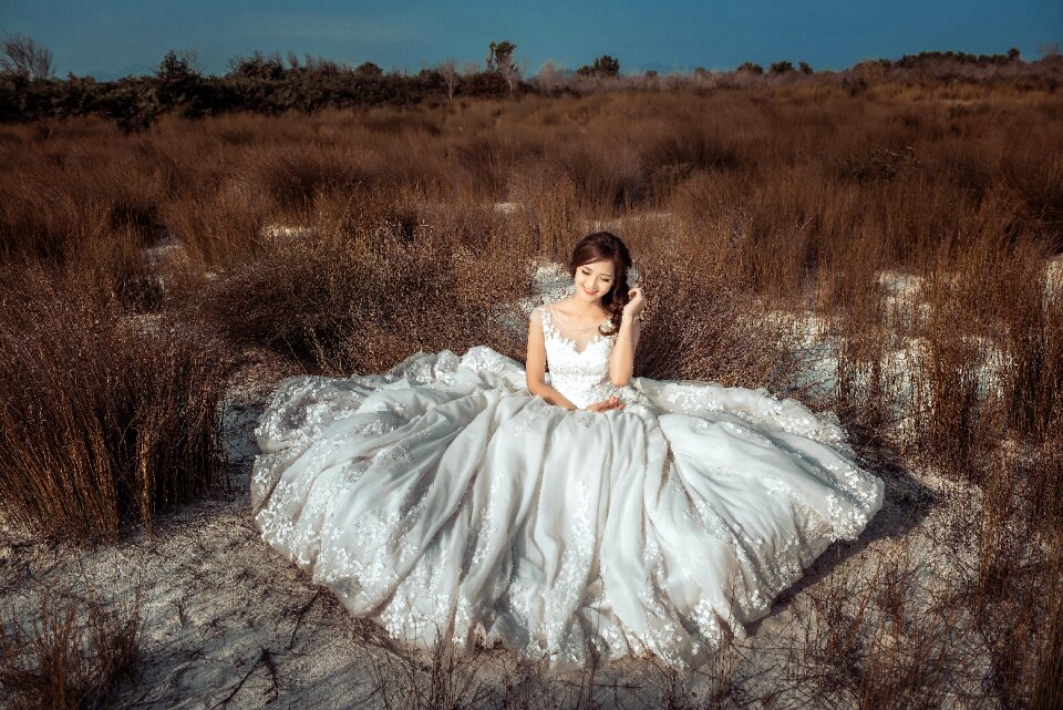 Bride wedding dress