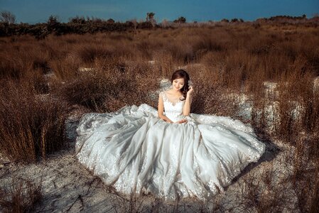 Bride wedding dress