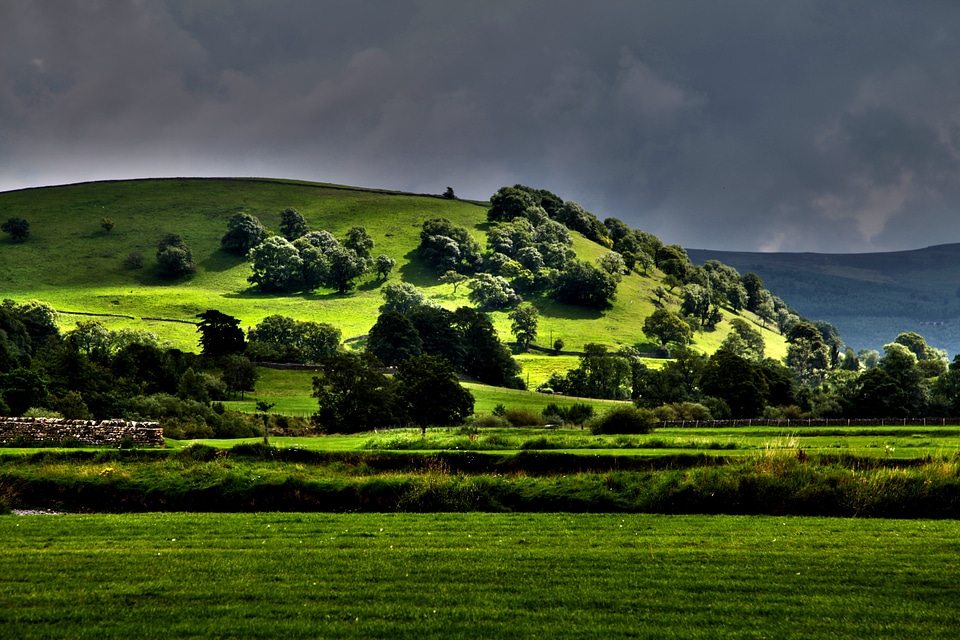 Dramatic environment field