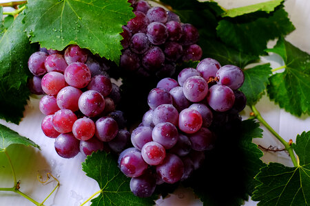 Grape fruits food