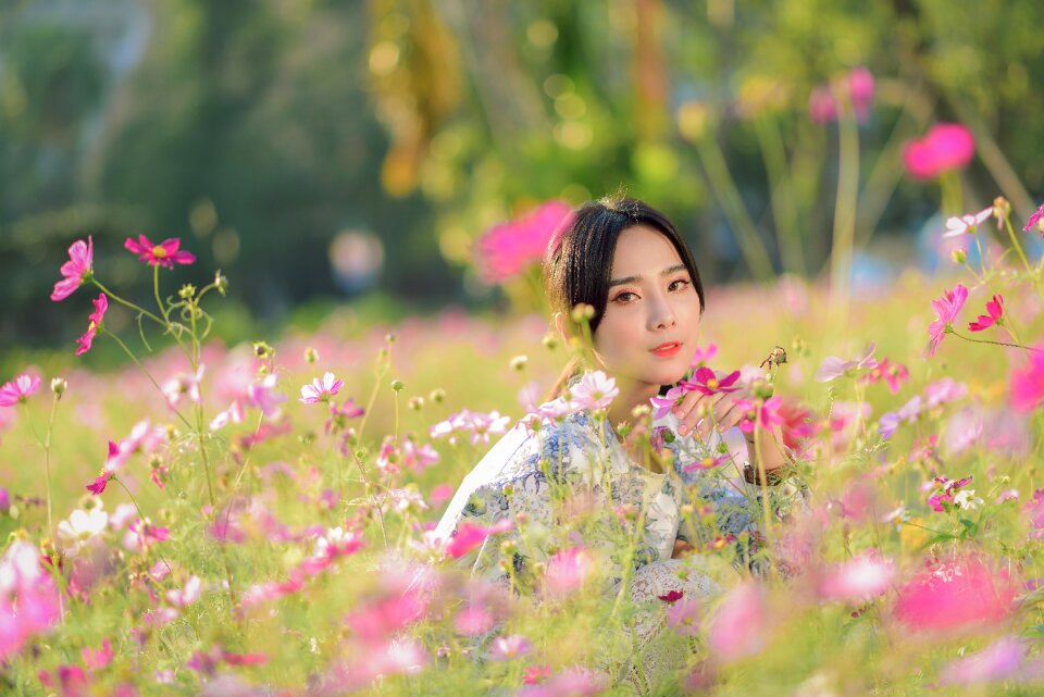 Woman girl cosmos field