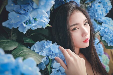 Woman girl portrait hydrangea