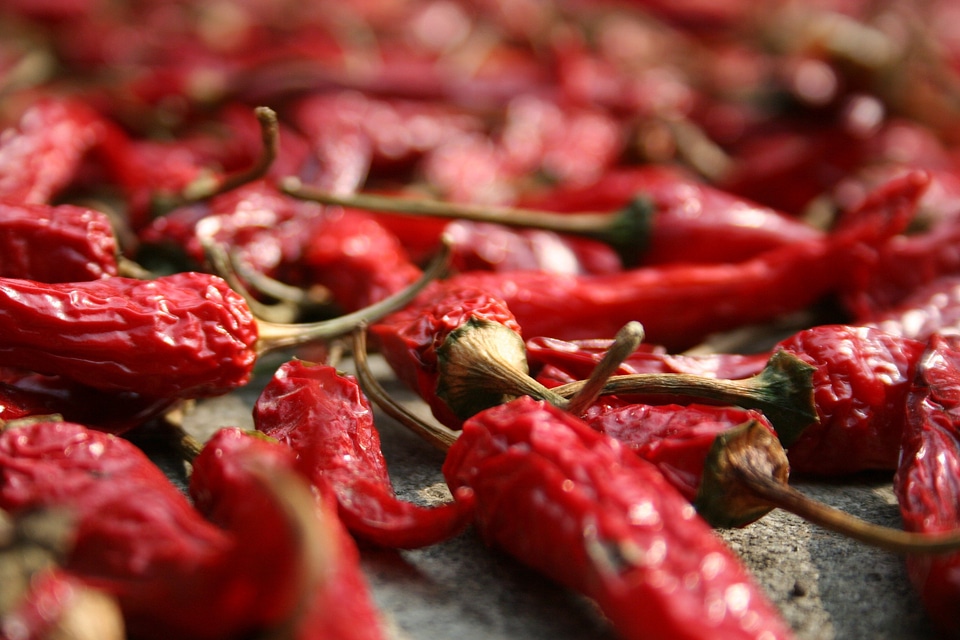 Dried edible food photo