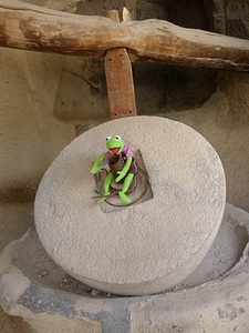 Frog sit green photo