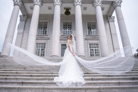 Bride wedding dress