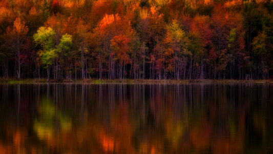 Autumn trees lake