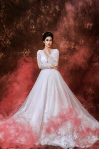 Bride wedding dress