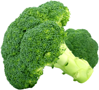 Broccoli vegetable