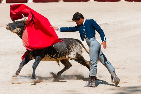 Bullfighting bull bullfighter