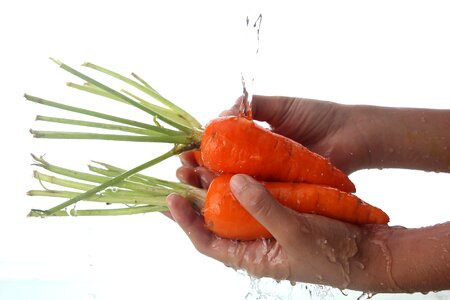 Carrot washing