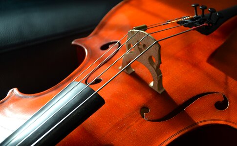 Cello musical instrument photo