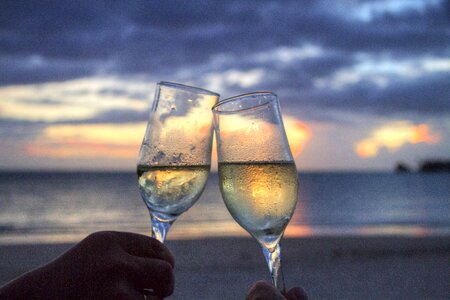 Champagne cheers drink