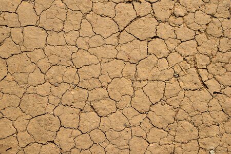 Cracked soil