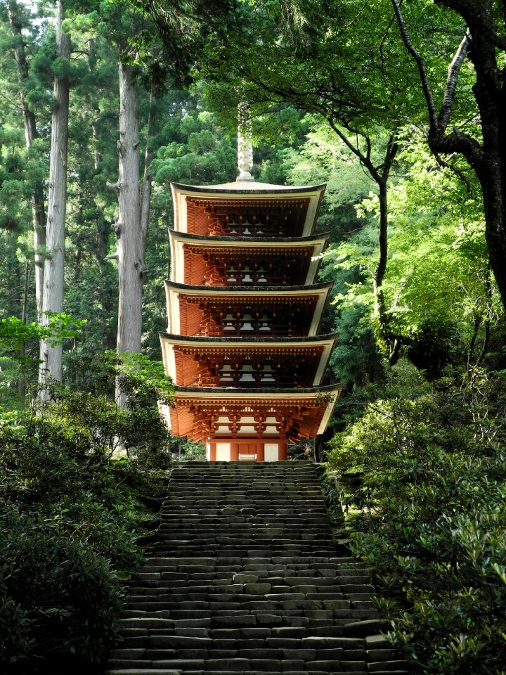 Five storied pagoda muro ji