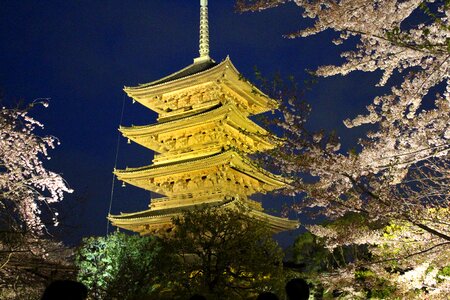 Five storied pagoda night photo