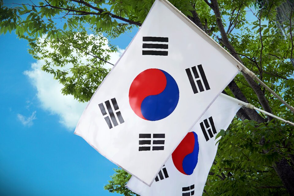 Flag of south korea