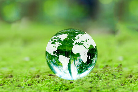 Globe ecology