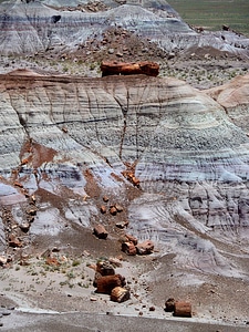 Park petrified wood colorful