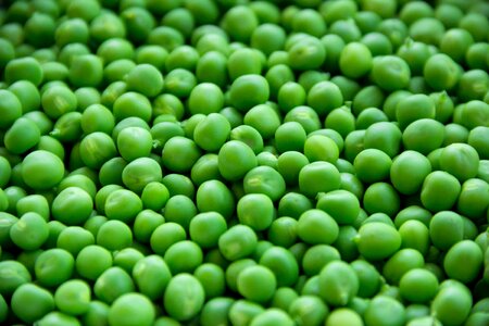 Green pea bean photo