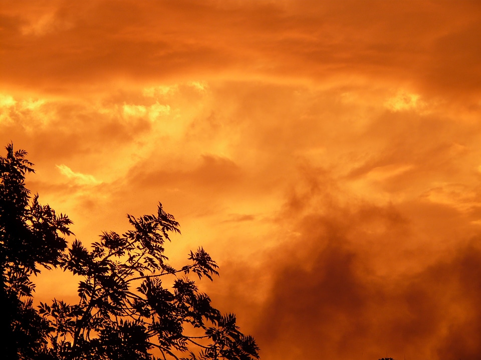 Romance love sky