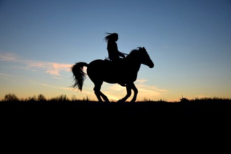 Horse riding silhouette