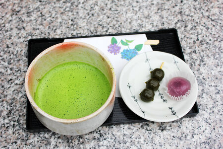 Japanese tea wagashi