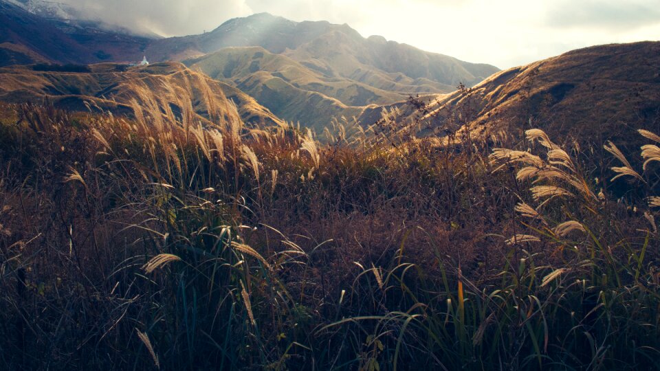 Mountain grass photo