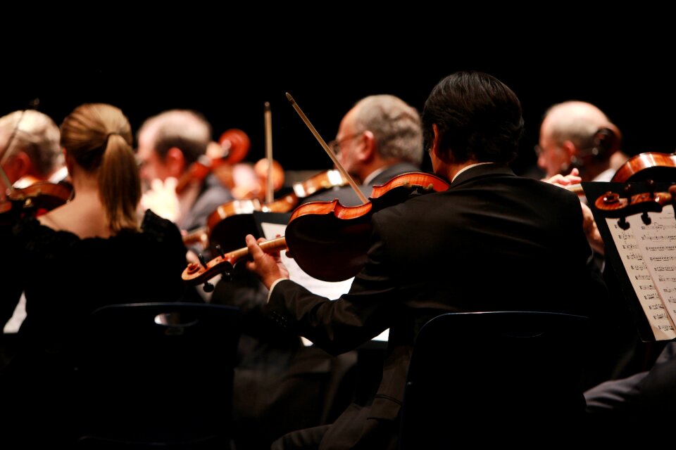 Orchestra music concert