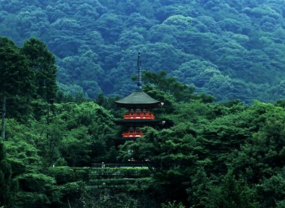 Pagoda japan forest
