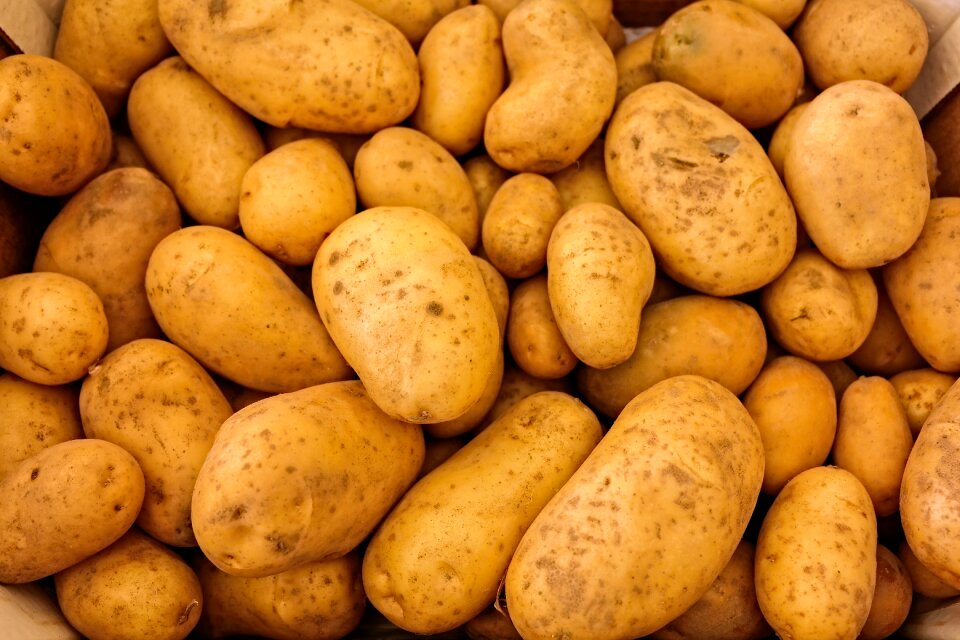 Potato vegetable food