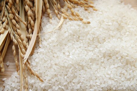 Rice food