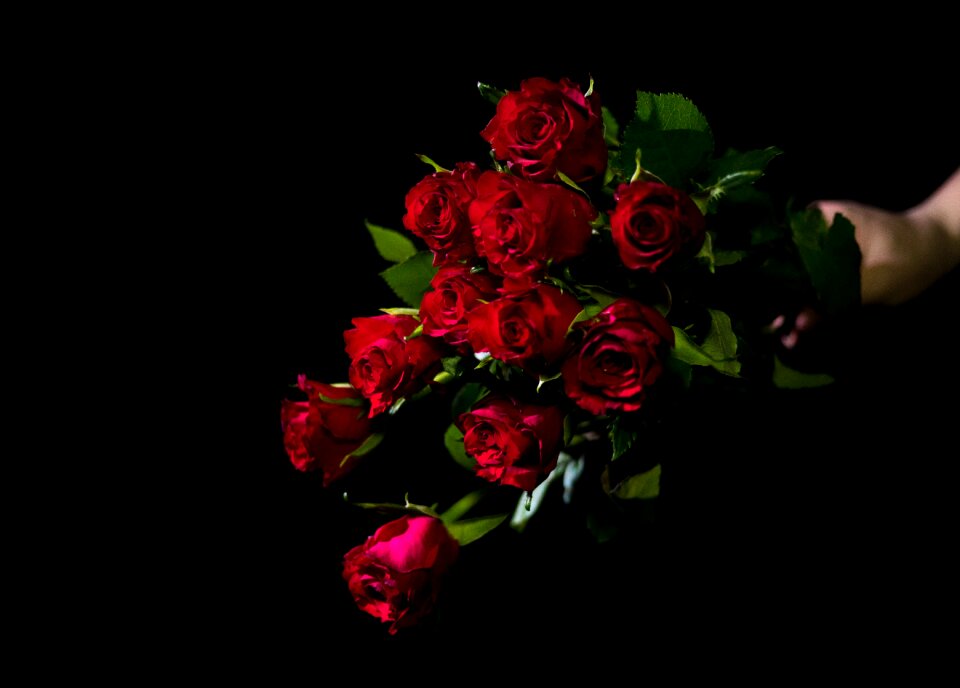 Rose flower bouquet
